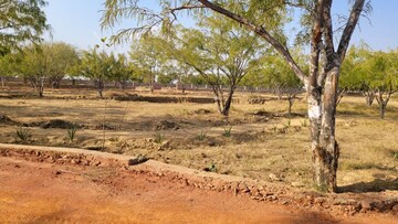 Plot Area in  Plot at SS Sainik Farms, Sector 150 – for Sale