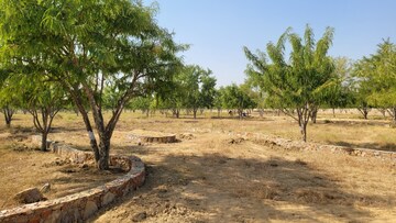 Plot Area in  Plot at SS Sainik Farms, Sector 150 – for Sale
