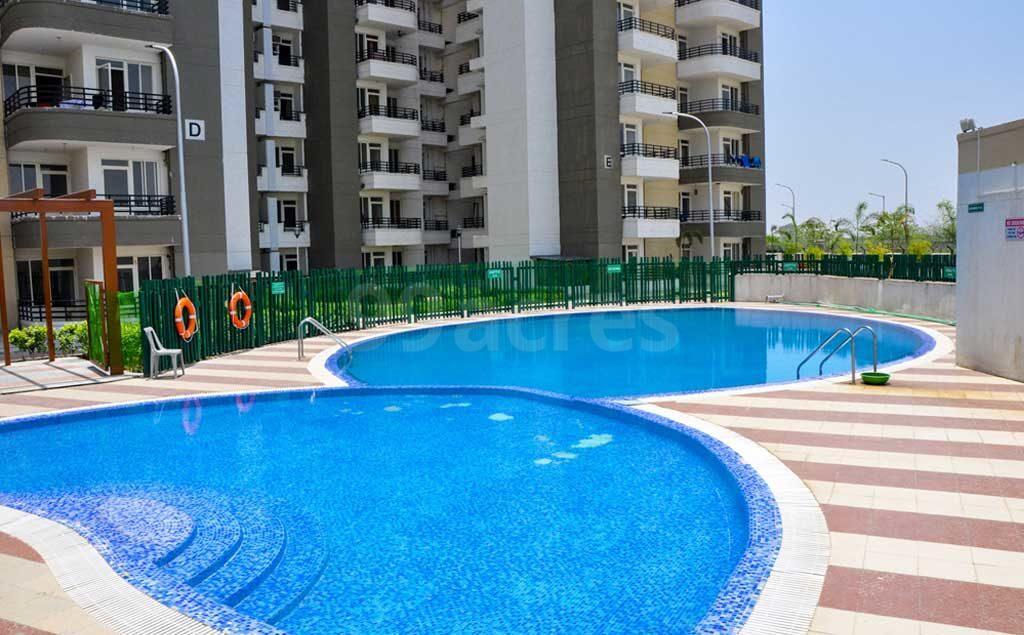 2 BHK Apartment For Rent in Stellar Mi Citihomes Gn Sector Omicron Iii Greater Noida  7823247