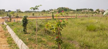  Plot – Garden View at Shadnagar - for Sale