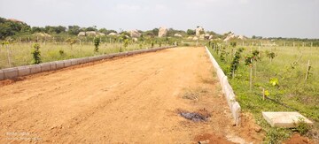 Plot Area in  Plot at Shadnagar – for Sale