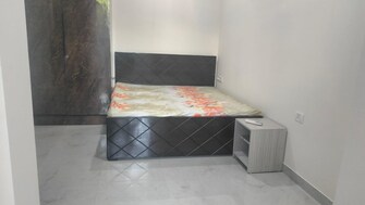 1 BHK Builder Floor For Rent in Global Foyer Sector 43 Gurgaon  7823503