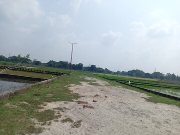 Plot Area in  Plot at Mohanlalganj – for Sale