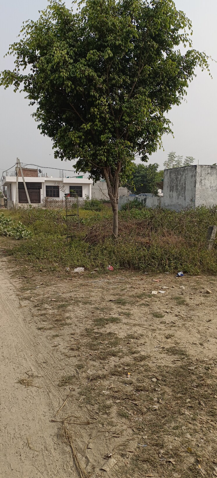 undefined, gomti nagar  1600 Sq.Ft. Plot In Gomti Nagar Lucknow 7823958