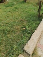 144 Sq.Yd. Plot in Ashoka Green