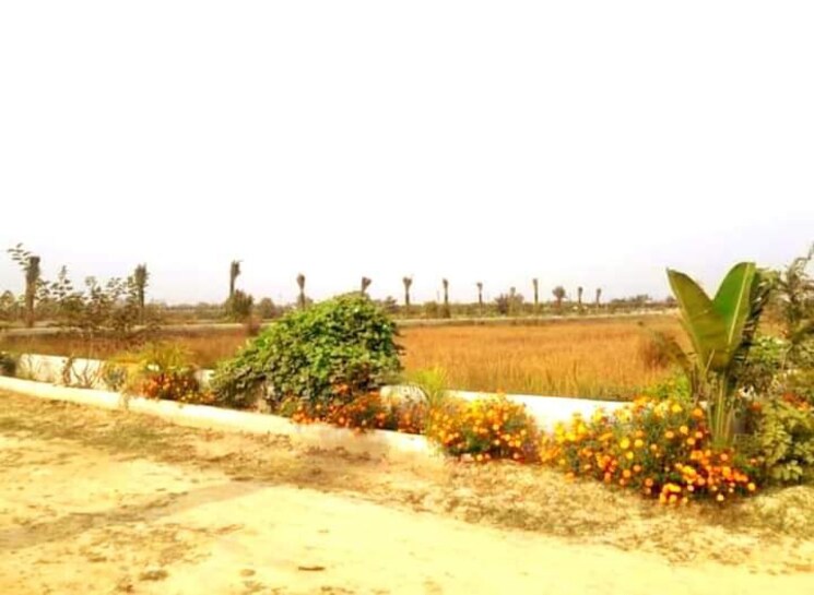 undefined, dev-puri  1500 Sq.Ft. Plot In Mohan Road Lucknow 7824773