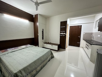 1 RK Apartment For Rent in Sowparnika Flamenco Sarjapur Road Bangalore  7825322