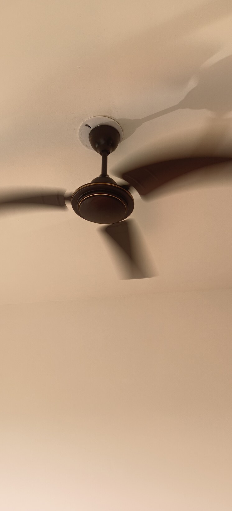 undefined, jsb-nakshatra-greens 1 Bedroom 580 Sq.Ft. Apartment In Naigaon East Palghar 7825559