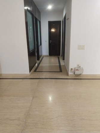 3 BHK Builder Floor For Rent in Unitech South City II Sector 50 Gurgaon  7826520