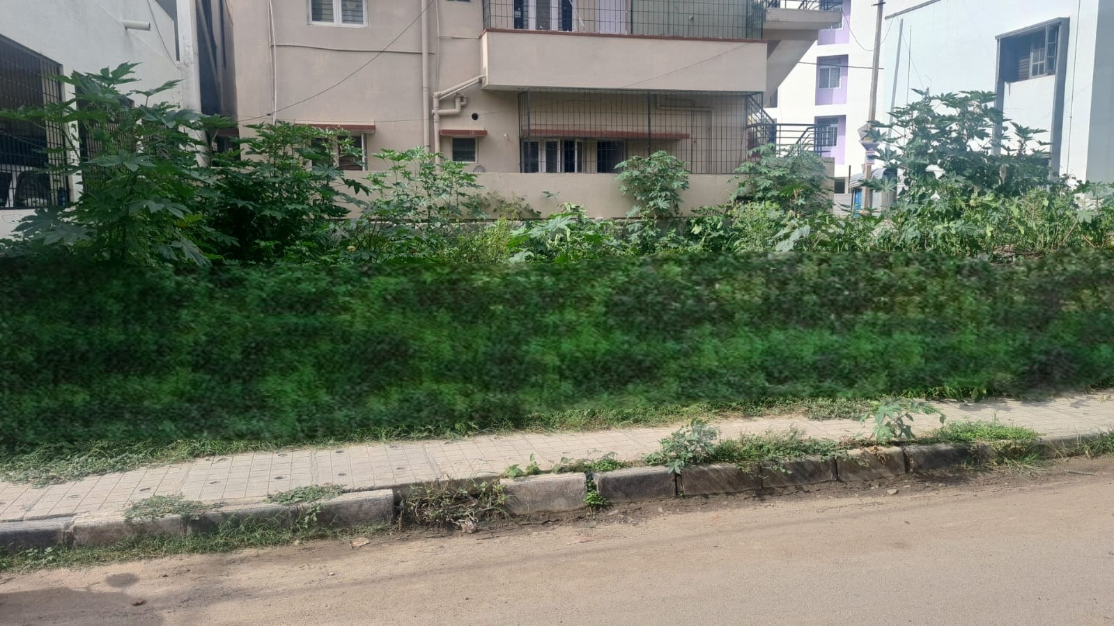 Plot For Resale in Kaggadasapura Bangalore  7810074