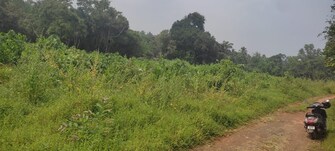 Plot For Resale in Mangalore Airport Mangalore  7826997