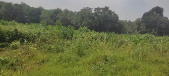 Plot For Resale in Mangalore Airport Mangalore  7826997