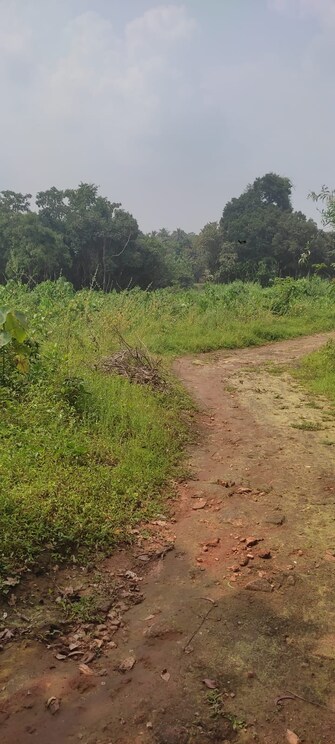 Plot For Resale in Mangalore Airport Mangalore  7826997