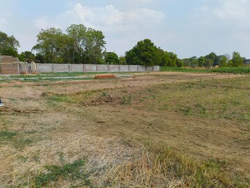  Plot For Sale in Bihta