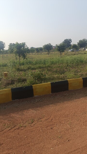 Plot Area in  Plot at Shadnagar – for Sale