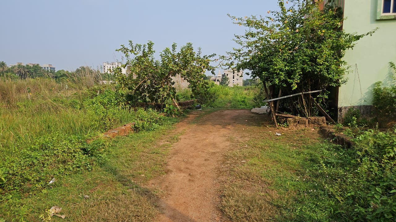 Plot For Resale in Motwani MJ Icon Tamando Bhubaneswar  7827286