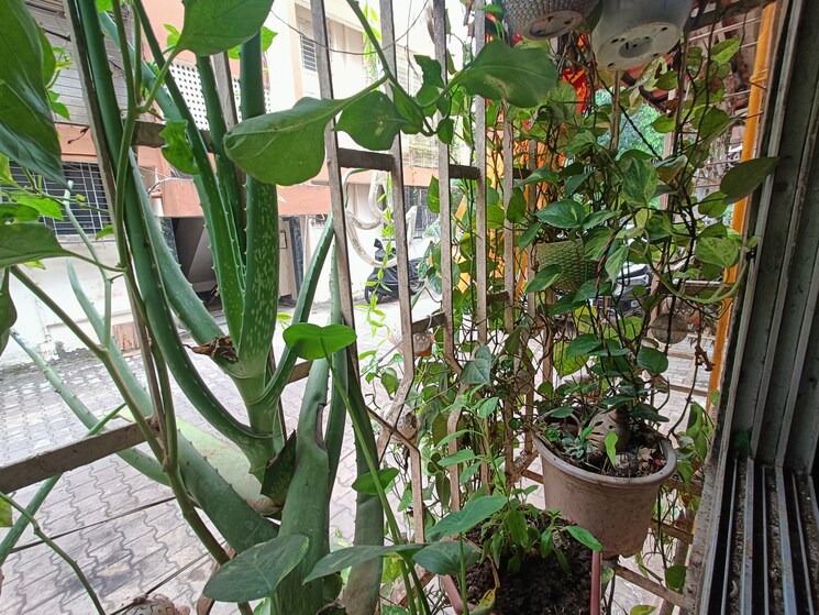 Balcony, mahakali-model-town 1 Bedroom 585 Sq.Ft. Apartment In Jogeshwari East Mumbai 7827424