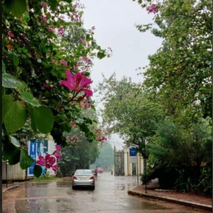 Garden, t-bhimjyani-neelkanth-woods-olivia 5 Bedroom 9500 Sq.Ft. Villa In Dongripada Thane 7827631