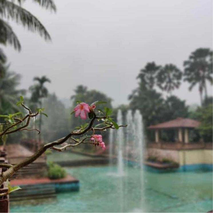 Exterior View, t-bhimjyani-neelkanth-woods-olivia 5 Bedroom 9500 Sq.Ft. Villa In Dongripada Thane 7827631