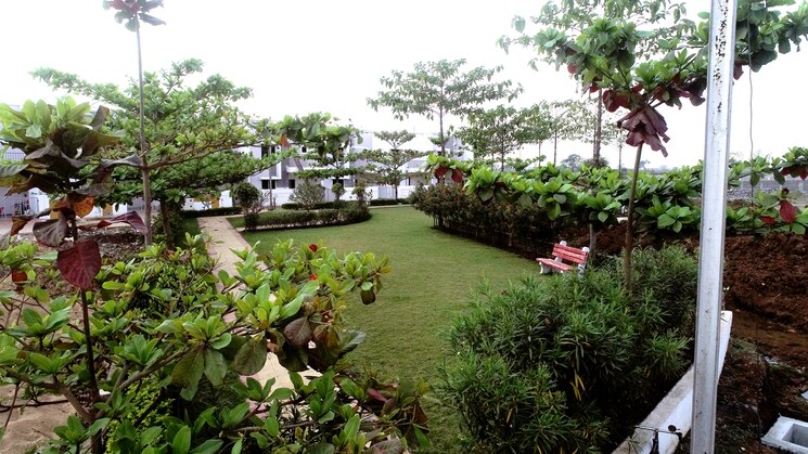 Garden, gaurav path 2 Bedroom 795 Sq.Ft. Independent House In Gaurav Path Bhilai 7827783