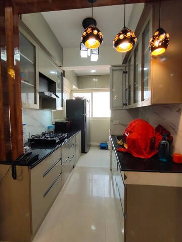 3 BHK Apartment For Rent in Tulip Orange, Sector 70