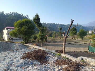 Plot Area in  Plot at Sahastradhara Road – for Sale