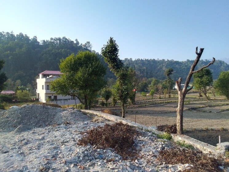 undefined, sahastradhara road  152 Sq.Yd. Plot In Sahastradhara Road Dehradun 7827893