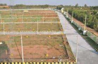 Plot For Resale in TDI City Kundli Kundli Sonipat  7827983