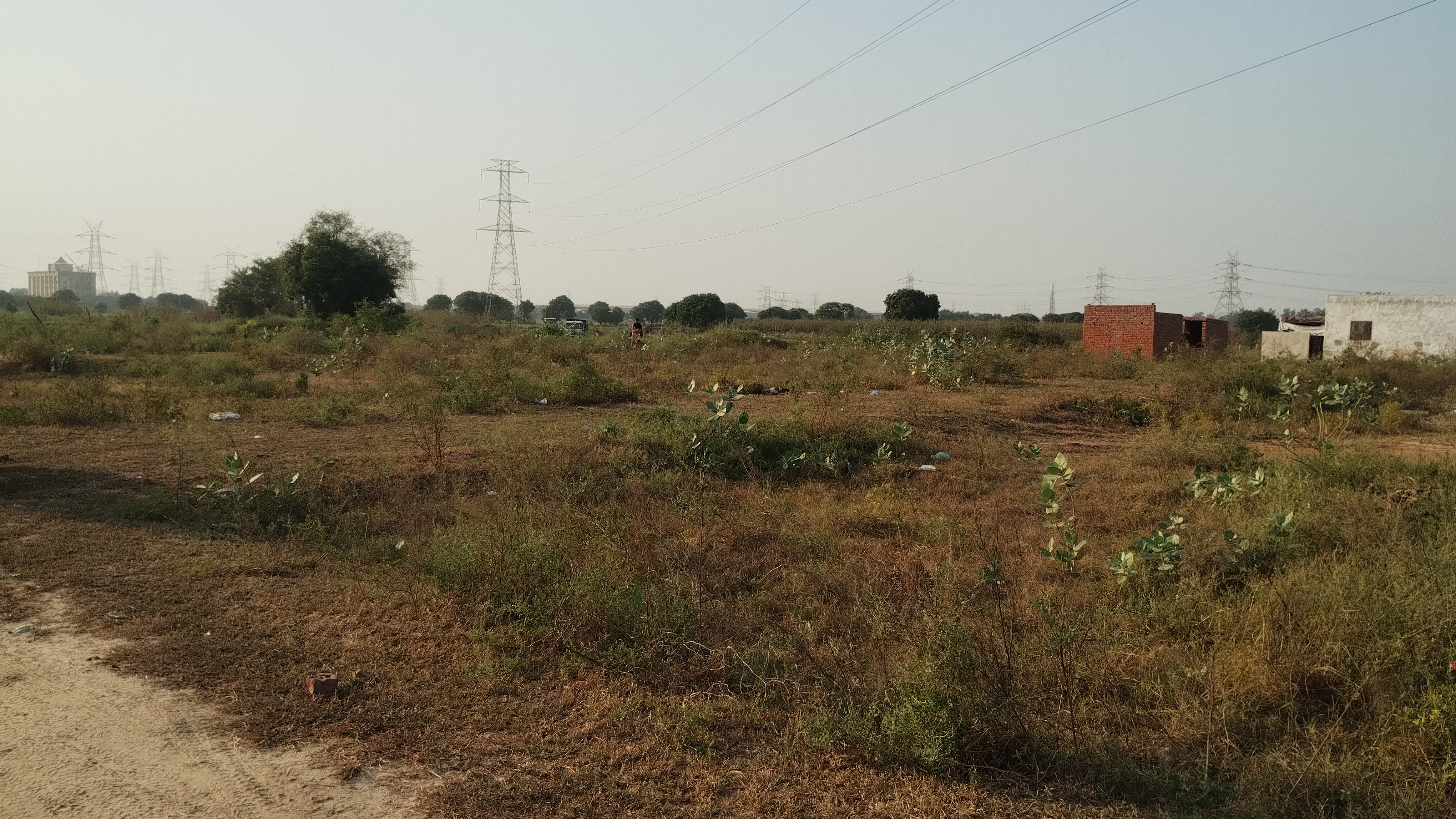 Plot For Resale in Palwal Faridabad  7828051