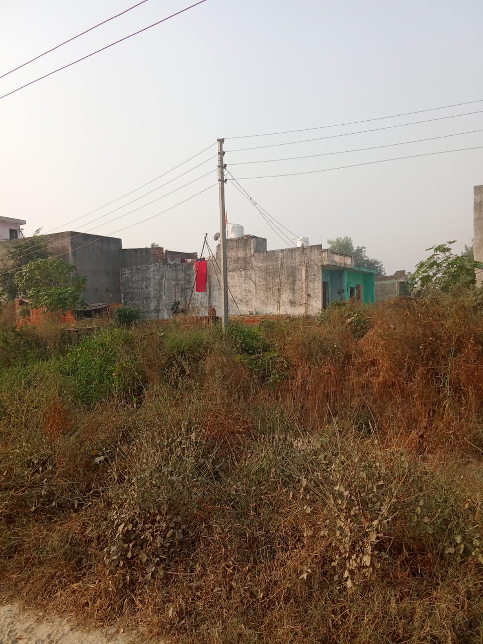 Plot For Sale in Sector 151