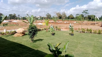 Plot Area in  Plot at Sampangi Rama Nagar – for Sale