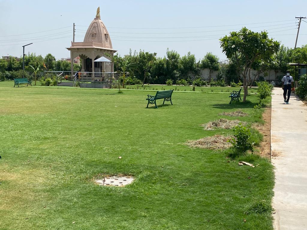 1 BHK Apartment For Sale in AVL 36 Gurgaon