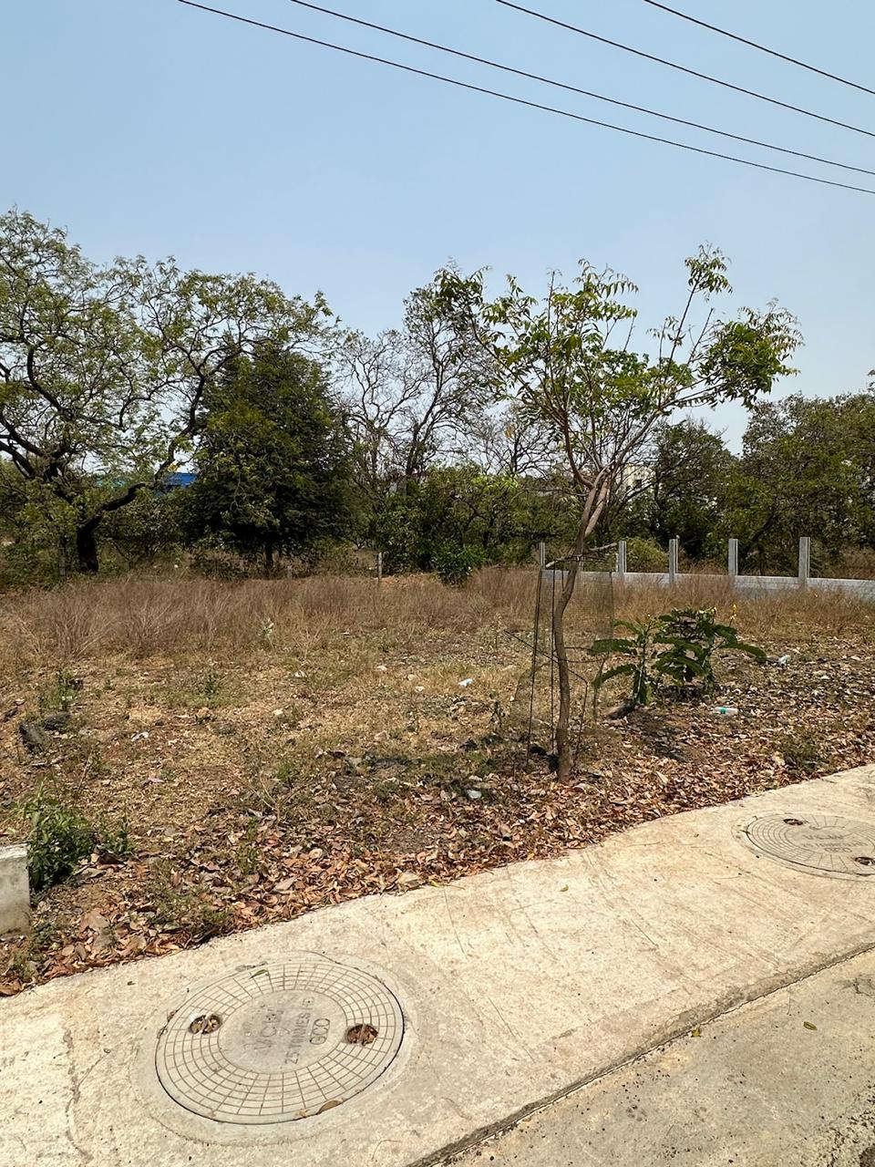 Plot For Resale in Kattupakkam Chennai  7828403