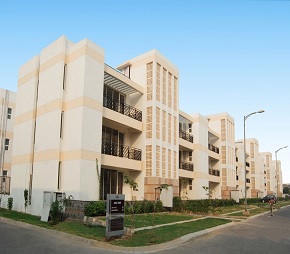 3 BHK Apartment For Sale in Puri Vip Floors