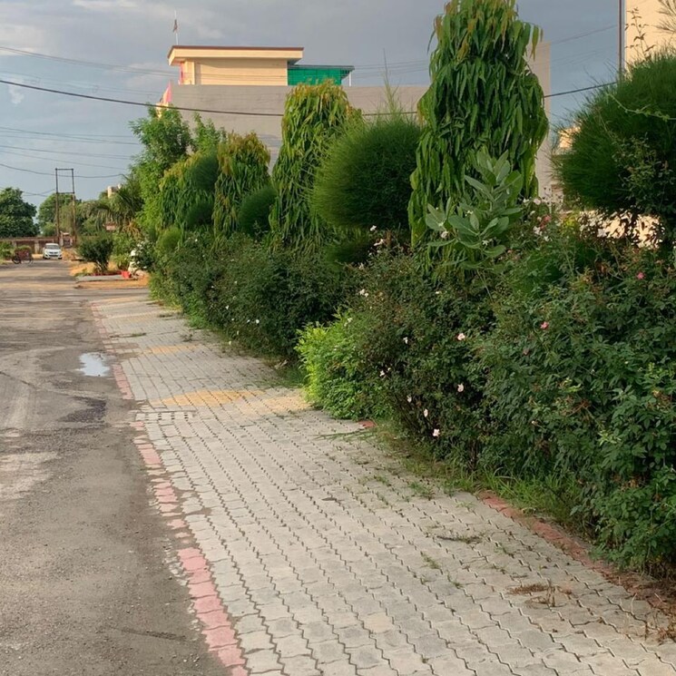 Garden, kanha-greens  110 Sq.Yd. Plot In Modipuram Meerut 7828824