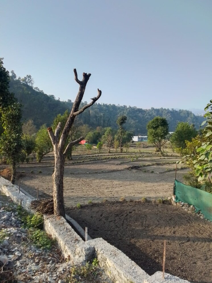 undefined, raipur  135 Sq.Yd. Plot In Raipur Dehradun 7828908