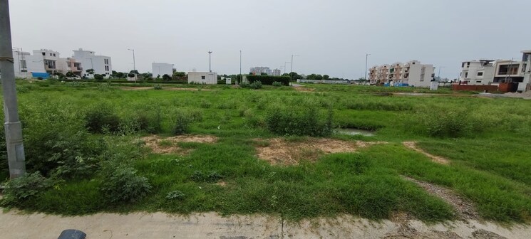 undefined, pinewood-enclave  200 Sq.Mt. Plot In Wave City Ghaziabad 7828941