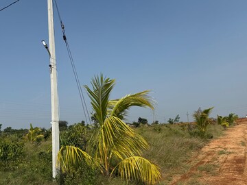  Plot For Sale in Keesara