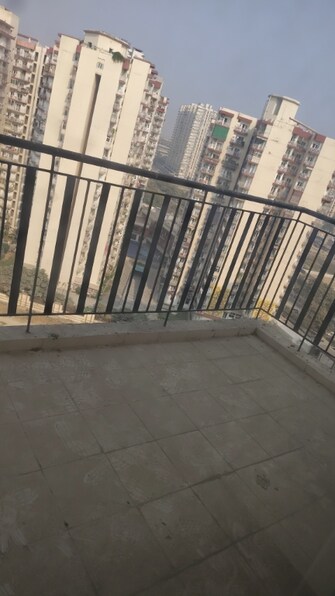 5 BHK Apartment For Rent in Amrapali Centurian Park Noida Ext Tech Zone 4 Greater Noida  7829150