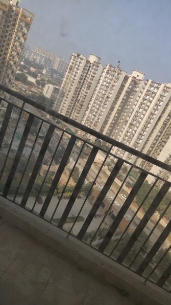 5 BHK Apartment For Rent in Amrapali Centurian Park Noida Ext Tech Zone 4 Greater Noida  7829150