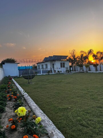3 BHK Apartment For Rent in ATS Le Grandiose, Sector 150