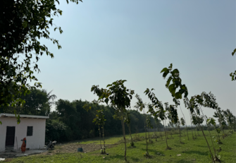 Plot For Resale in SRS Retreat Farms Manjhawali Faridabad  7829281