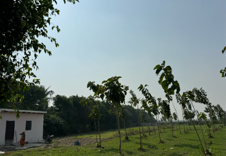 undefined, srs-retreat-farms  1976 Sq.Yd. Plot In Manjhawali Faridabad 7829281