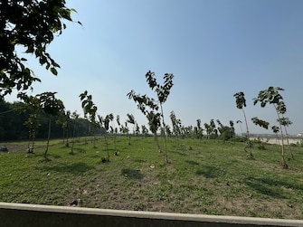 Plot For Resale in SRS Retreat Farms Manjhawali Faridabad  7829281