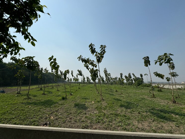 undefined, srs-retreat-farms  1976 Sq.Yd. Plot In Manjhawali Faridabad 7829281