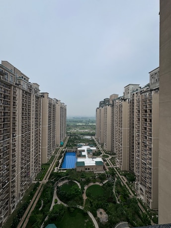 3 BHK Apartment For Rent in ATS Le Grandiose Sector 150 Noida  7829279