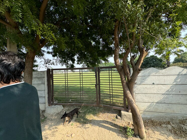 Balcony, srs-retreat-farms  1976 Sq.Yd. Plot In Manjhawali Faridabad 7829281