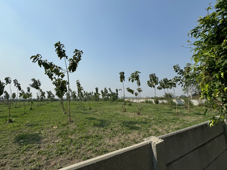 undefined, srs-retreat-farms  1976 Sq.Yd. Plot In Manjhawali Faridabad 7829281