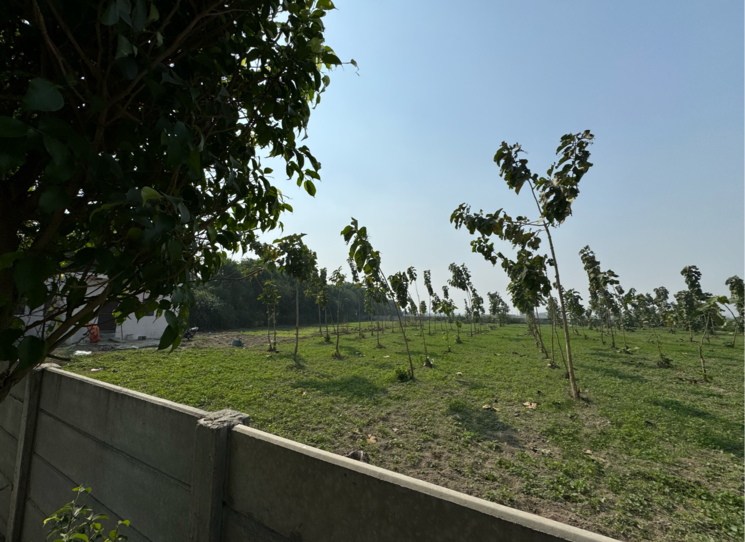 undefined, srs-retreat-farms  1976 Sq.Yd. Plot In Manjhawali Faridabad 7829281