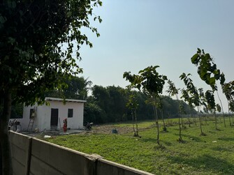 Plot For Resale in SRS Retreat Farms Manjhawali Faridabad  7829281